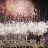 桜島と芸術花火2025