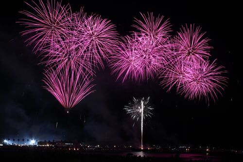 泉州夢花火