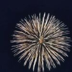 吉野川市納涼花火大会