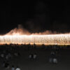 千日会観光祭