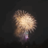 秩父川瀬祭 奉納花火