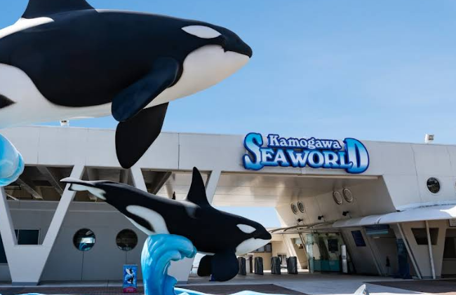 鴨川シーワールド