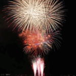 鳥取しゃんしゃん祭花火